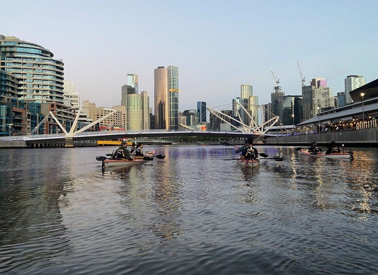 Picture 4 for Activity Melbourne: Sunset Kayak Tour with Dinner