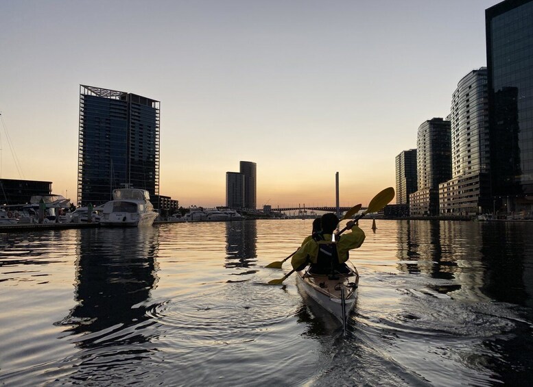 Picture 6 for Activity Melbourne: Sunset Kayak Tour with Dinner