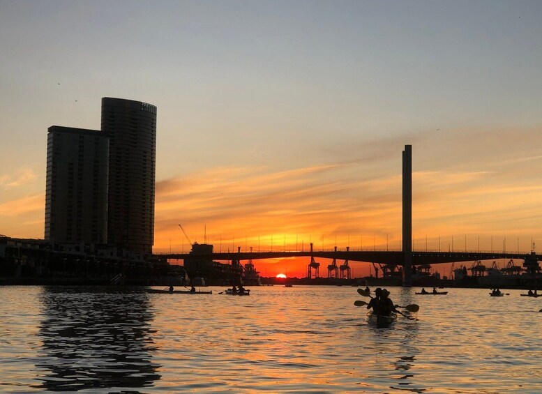 Picture 5 for Activity Melbourne: Sunset Kayak Tour with Dinner