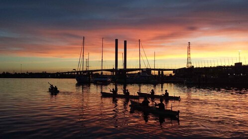 Melbourne : Excursion en kayak au coucher du soleil avec dîner