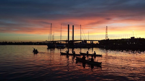 Melbourne : Excursion en kayak au coucher du soleil avec dîner