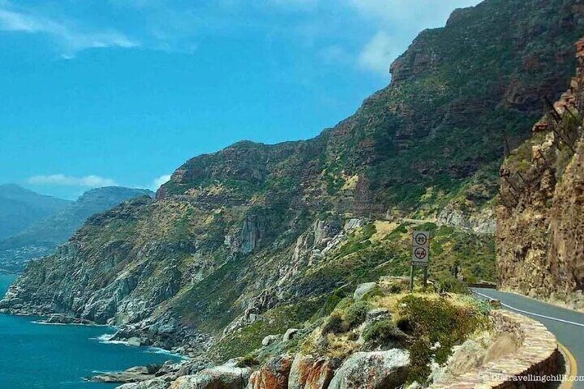 Half Day Penguins Boulders Beach and Cape Point Small Group Tour