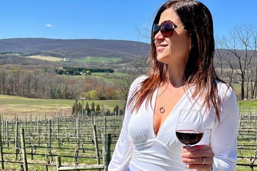 Exclusive Virginia Wine Country Day Trip Tour