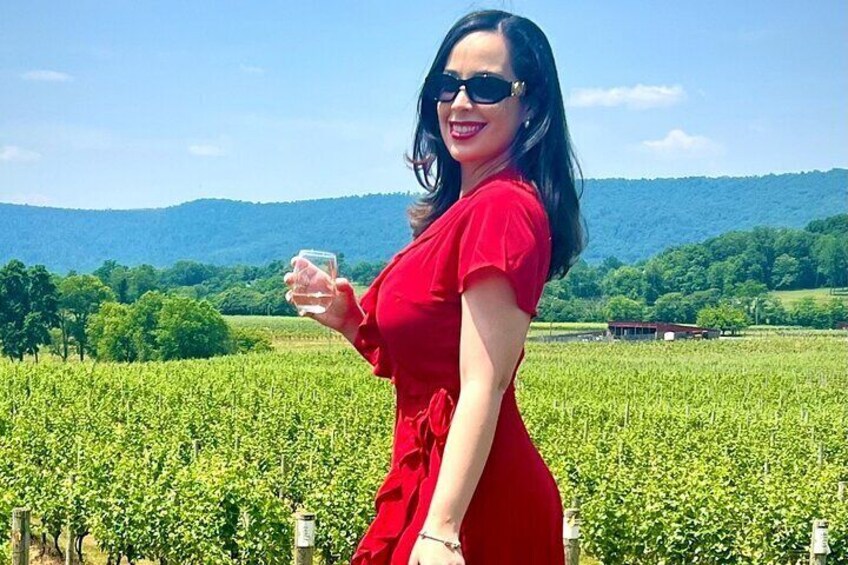Exclusive Virginia Wine Country Day Trip Tour