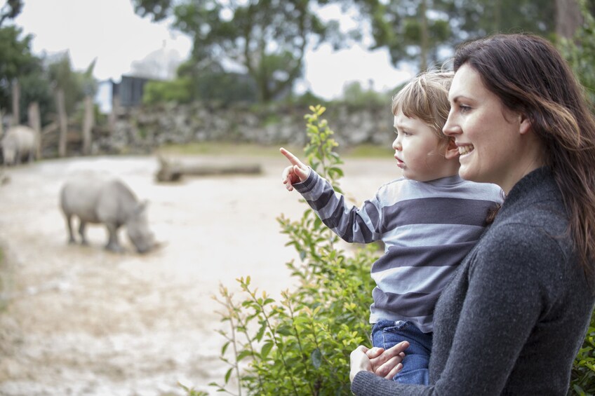 Mother and child looking at rhinoceros at the Auckland Zoo