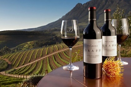 Private Full Day Wine Tasting of Western Cape