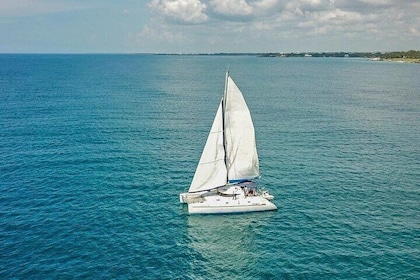 Saona Snorkel Private Cruise with Food and Drinks