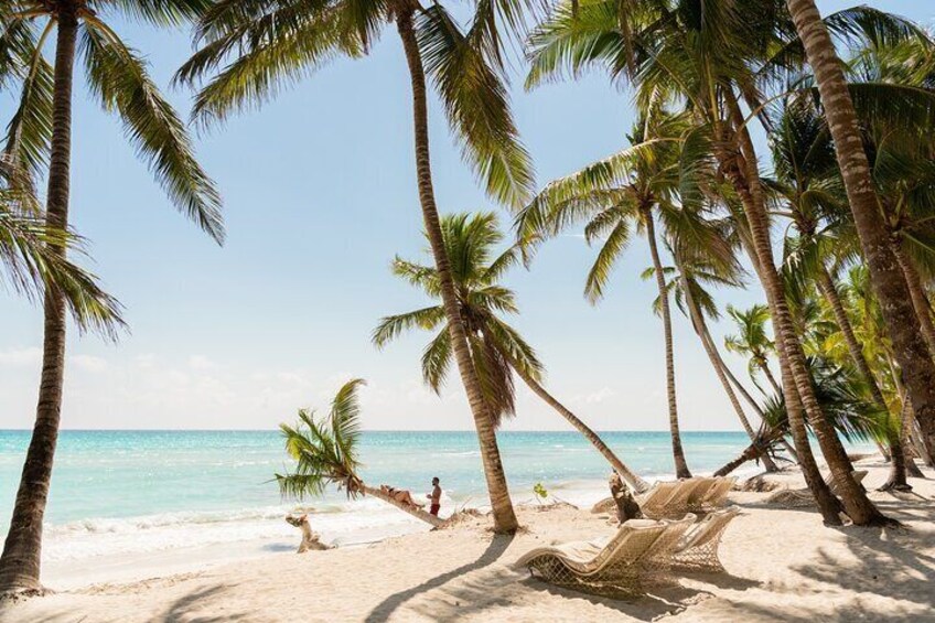 Saona Snorkel Private Cruise with Food and Drinks