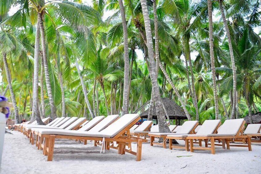 Saona Snorkel Private Cruise with Food and Drinks