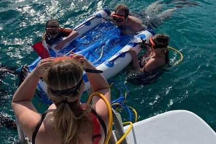 Tour 3H Snuba, naufragio e isla Iguana