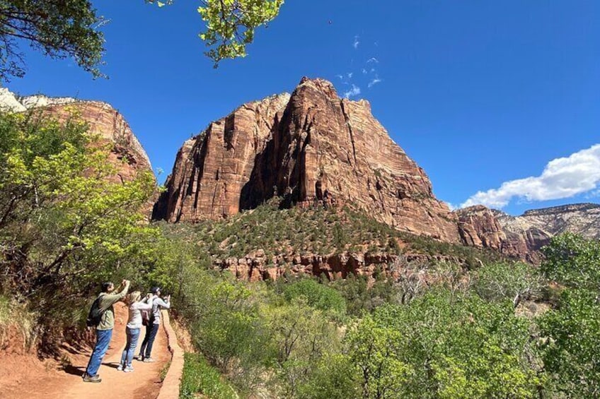 Small Group Guided Walking Tour of Zion National Park