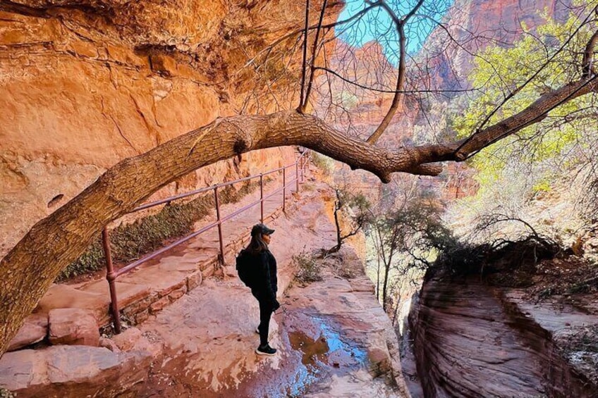 Small Group Guided Walking Tour of Zion National Park