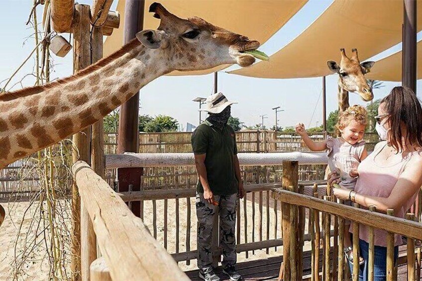 Dubai Safari Park Entry Tickets