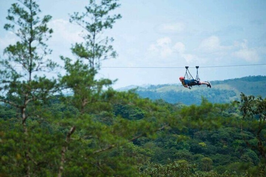 Zipline & Hanging Bridges