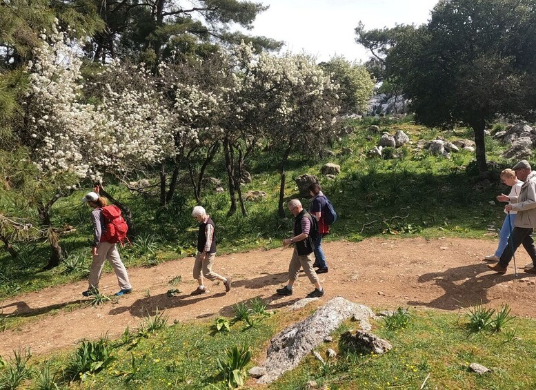 Picture 3 for Activity Rhodes: Hike Mountain Profitis Ilias from Salakos village