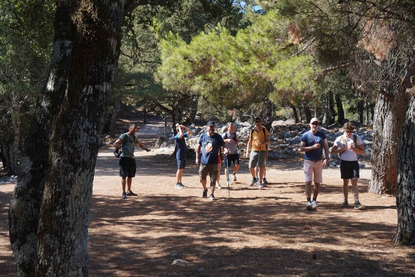 Picture 13 for Activity Rhodes: Hike Mountain Profitis Ilias from Salakos village