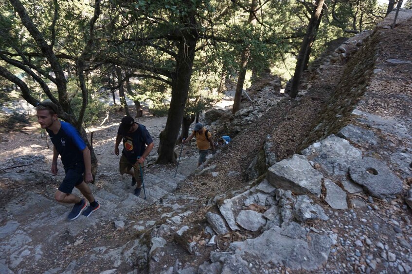 Picture 11 for Activity Rhodes: Hike Mountain Profitis Ilias from Salakos village