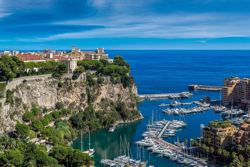 Picture 4 for Activity From Nice: Monaco, Monte-Carlo & Eze Village Guided Tour