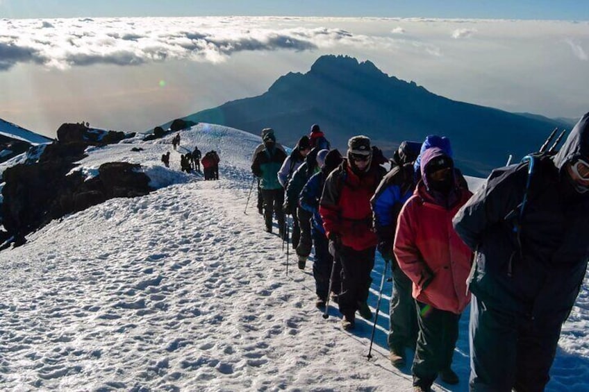 8 Days Private Kilimanjaro Climbing via Lemosho Route