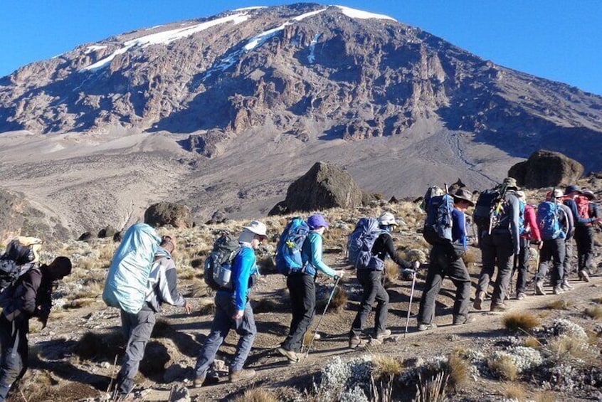 8 Days Private Kilimanjaro Climbing via Lemosho Route