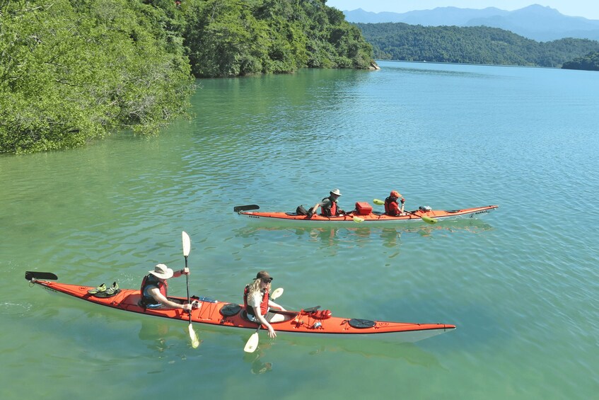 Picture 8 for Activity Paraty Bay: Half-Day Mangroves and Beaches Tour by Kayak