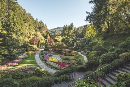 Victoria: City Highlights and Butchart Gardens Tour