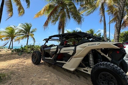 Piñones UTV Off-Road Adventure-Beaches & Puerto Rican Culture