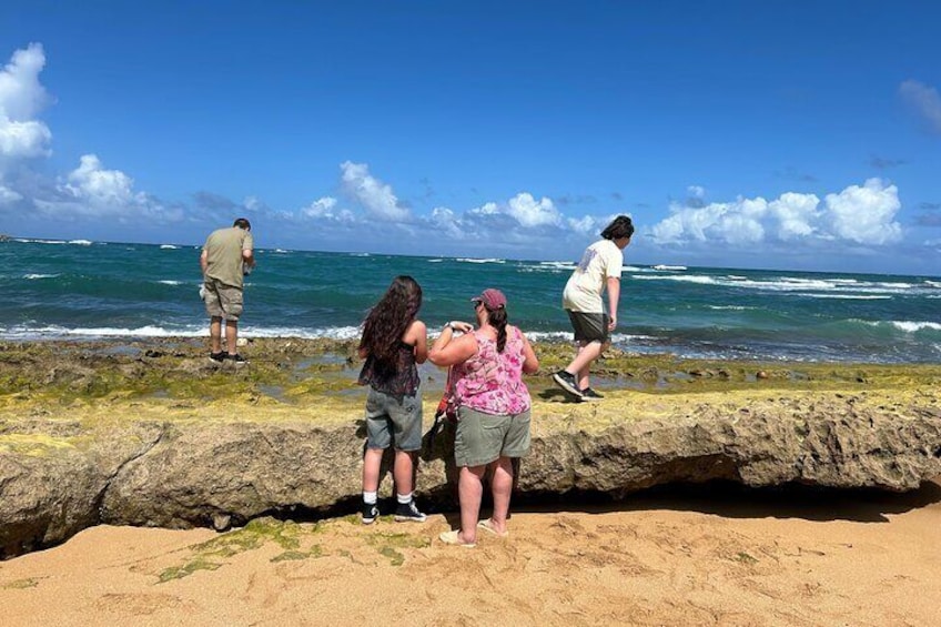 UTV Tour near San Juan - Explore Piñones Untamed Coast