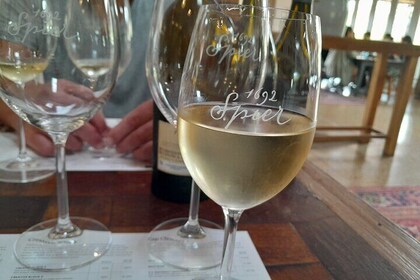 Stellenbosch, Franschhoek & Paarl 5 Wine Tasting Tour small group