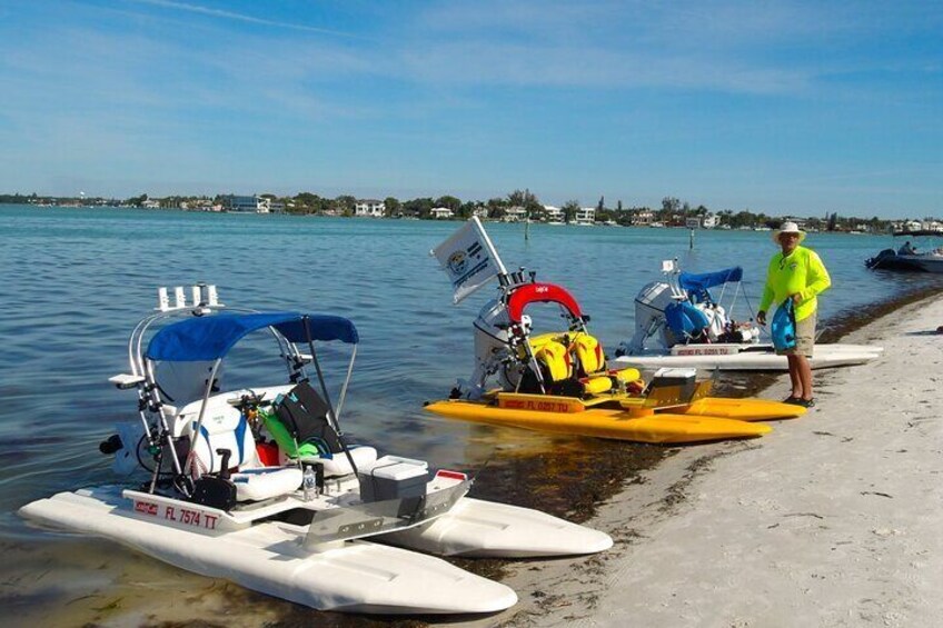 Lido Key’s Mangroves Beach