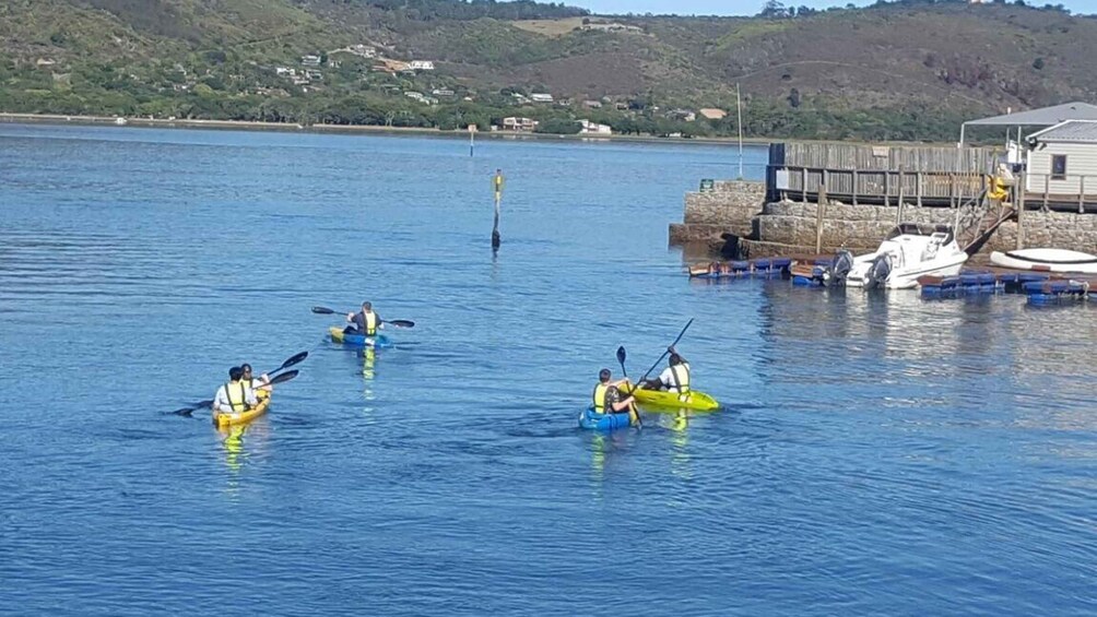 Knysna Kayak Hire