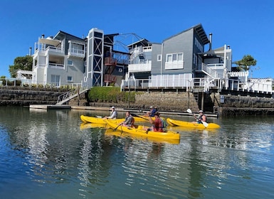 Alquiler de kayak en Knysna