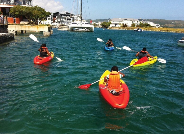 Picture 1 for Activity Knysna Kayak Hire