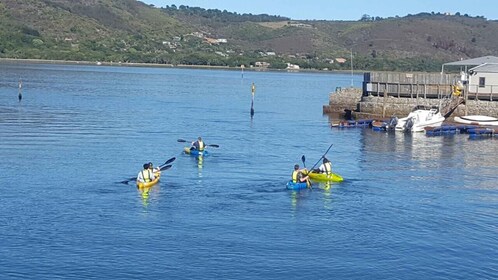 Knysna Kayak Hire