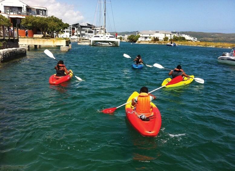 Picture 1 for Activity Knysna Kayak Hire