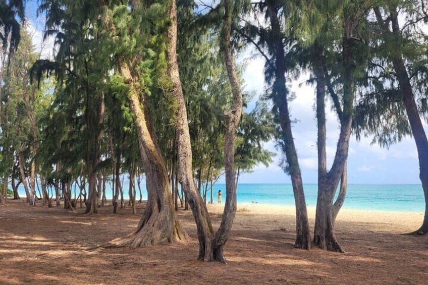 Private Hiking and Beaches Tour in Kailua Town