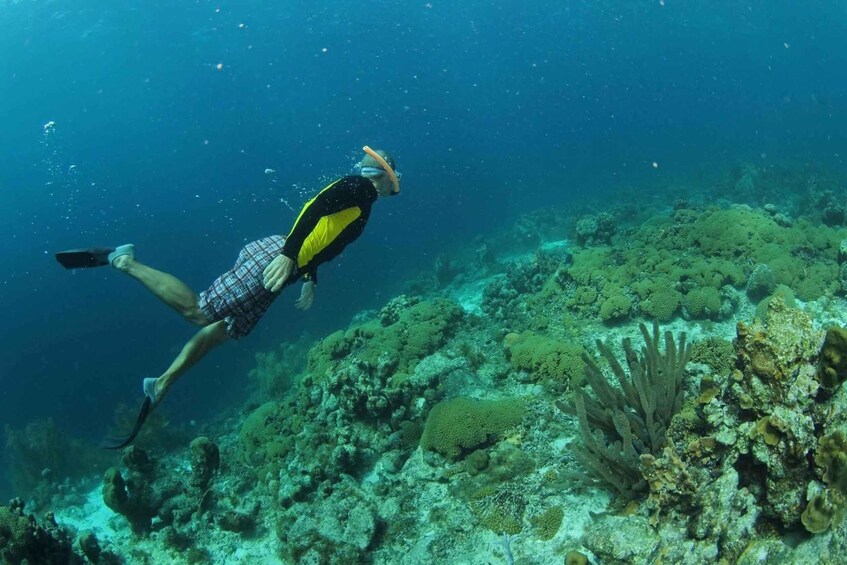 Picture 3 for Activity Explore Curacao Spanish Lagoon and Snorkeling