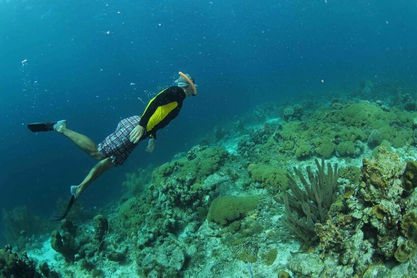 Picture 3 for Activity Explore Curacao Spanish Lagoon and Snorkeling