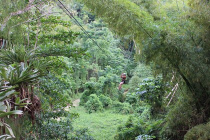 Ocho Rios: Pengalaman Zipline Hutan Sungai Putih & Blue Hole