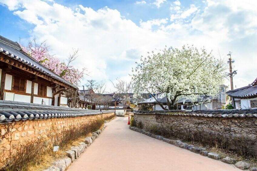 Gyeongju Day and Night One Day Guided Tour from Busan