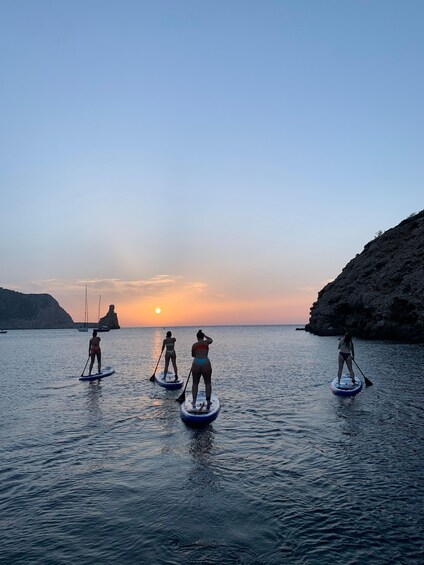 Picture 3 for Activity Ibiza: Paddle Board Sunset Tour