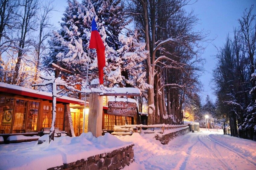 Tour Valle Nevado & Full Day wine tour with tasting