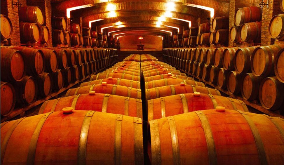 Tour Valle Nevado & Full Day wine tour with tasting