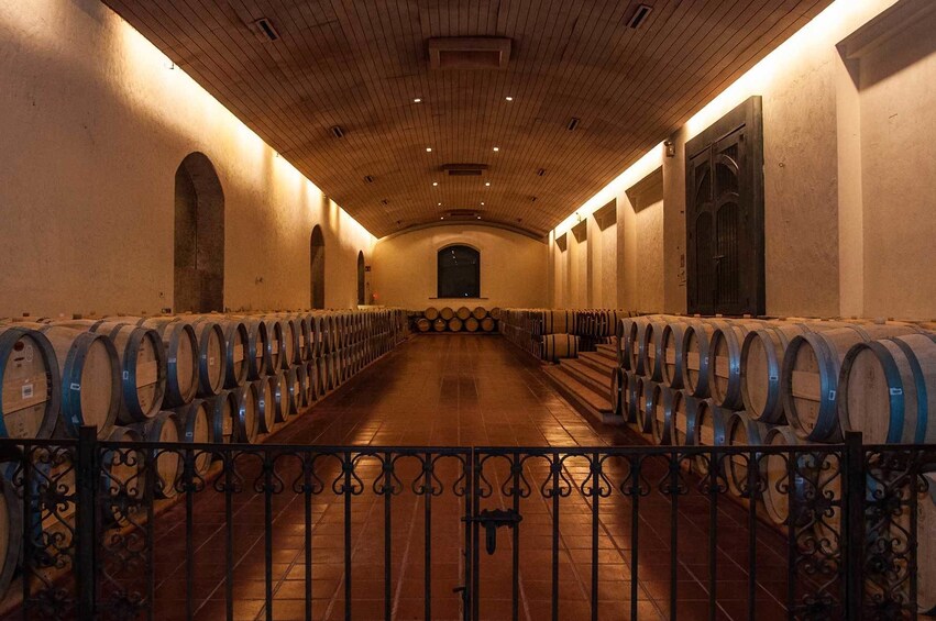 Tour Valle Nevado & Full Day wine tour with tasting