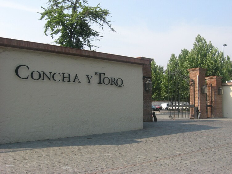 Tour Valle Nevado & Full Day wine tour with tasting