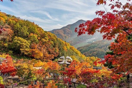 花谈植物园 & 南汉山城及民俗村之旅
