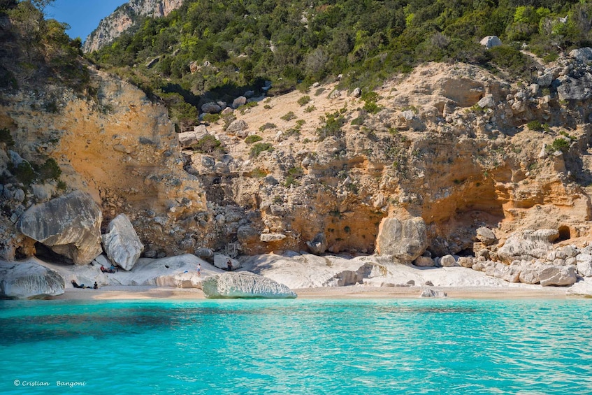 Picture 6 for Activity Santa Maria Navarrese: Baunei Coast Cruise with Swim Stops