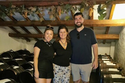 Parmigiano, Prosciutto and Traditional balsamic Tour from Bologna