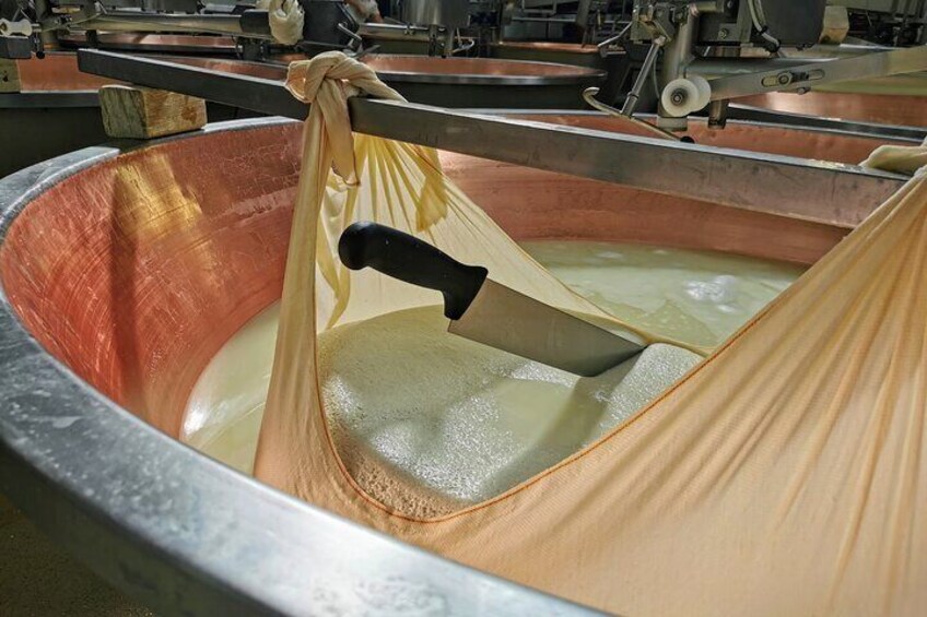 Parmigiano Parma Prosciutto Traditional balsamic Tour in Bologna