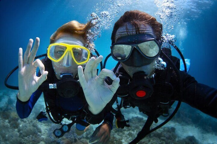 Diving experience in Polignano a Mare with certification